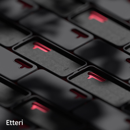 Etui Etteri Silicone Case do Samsung Galaxy S25 czarne